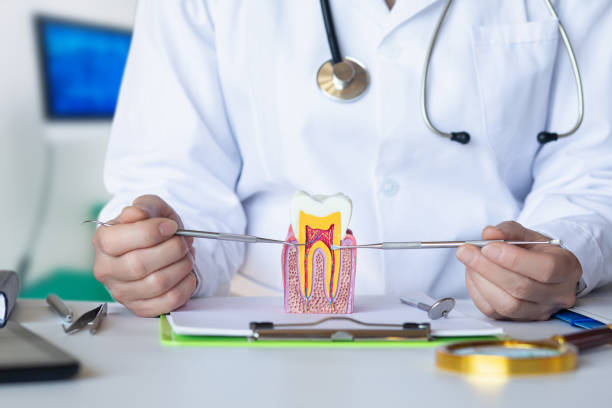Best Emergency Treatment for Toothache in North Sea, NY
